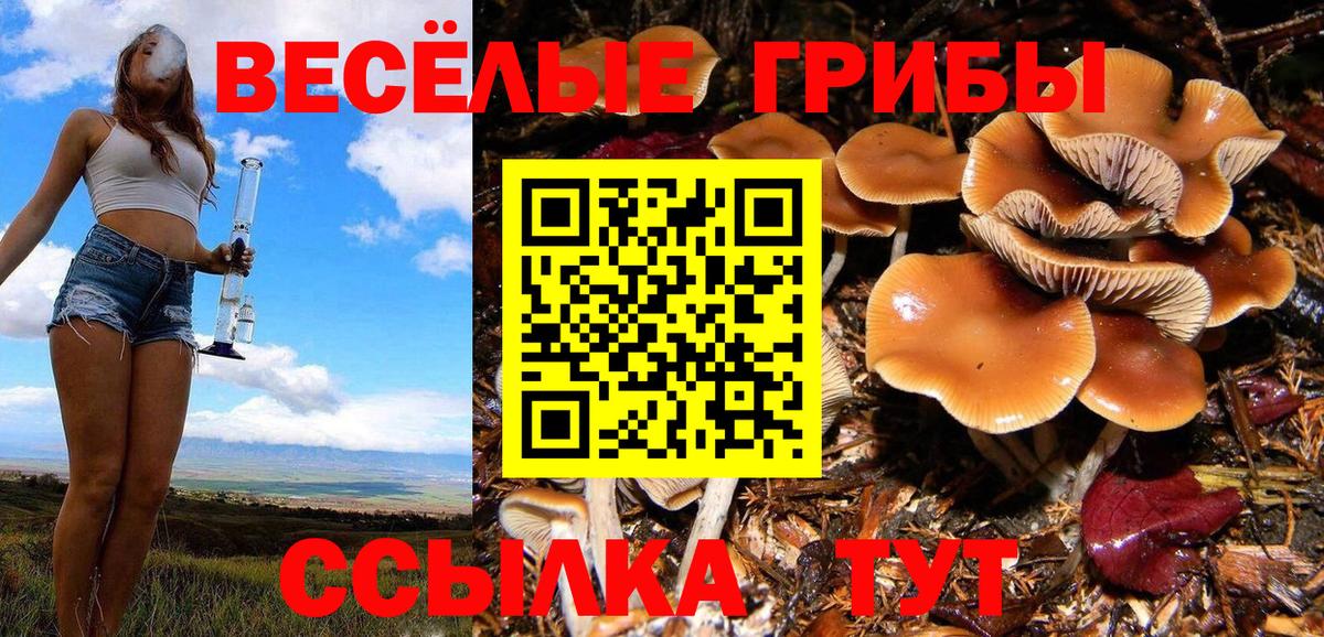 как найти закладки  Вход с VPN  Отрадное  Псилоцибиновые грибы Magic Shrooms 